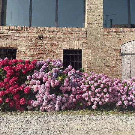 B&B Il Conte Giacomo Viarolo Екстериор снимка